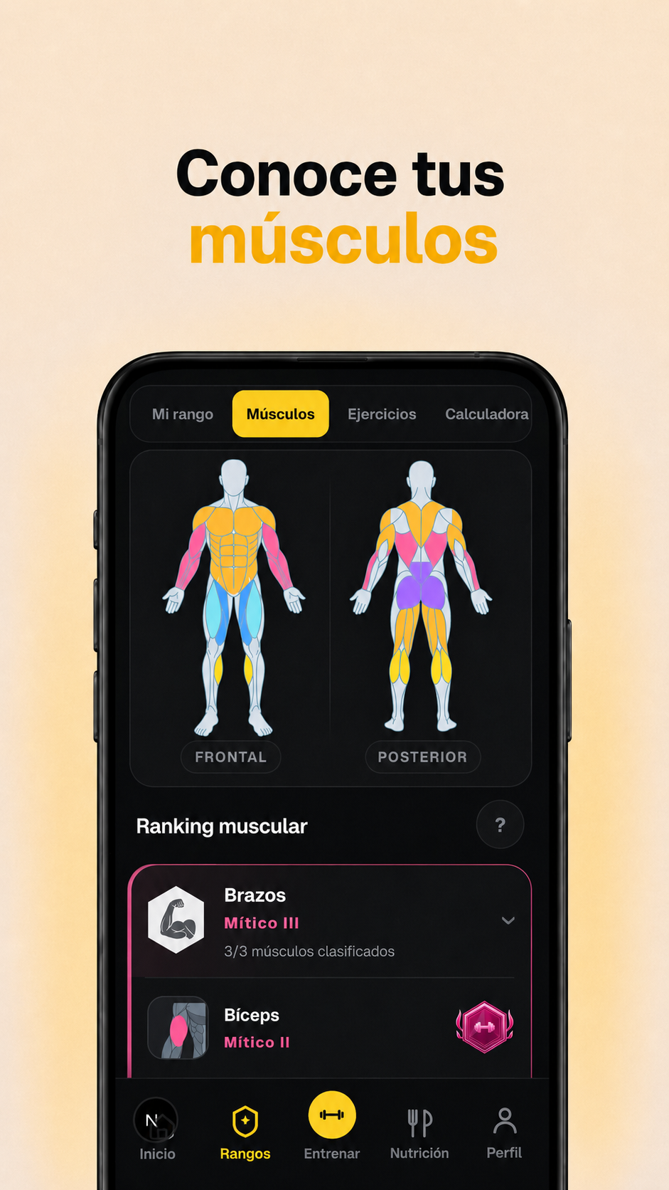 Bodygraph y ranking muscular de Forte